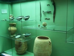 Museo de Arte Iberico el Cigarralejo 2008